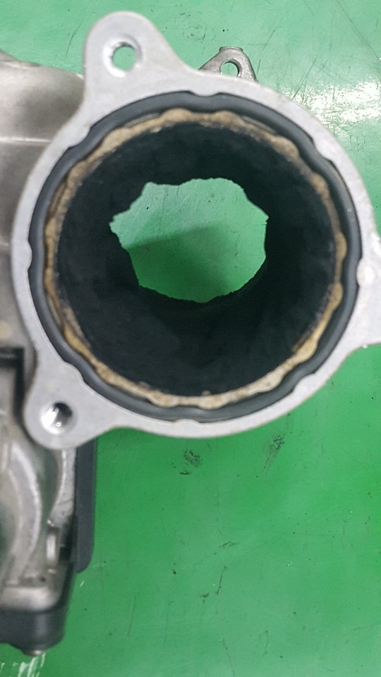 35c66e9a8f2edd0a0e6158b1045fcca4_1587624768_1577.jpg